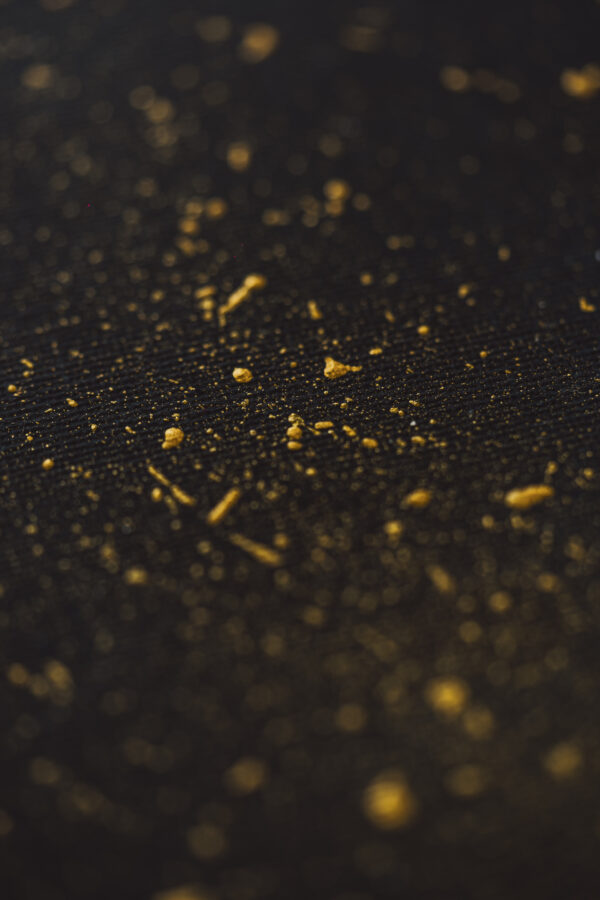 Golden Cosmos - Image 4